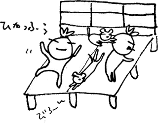 かずりんの部屋