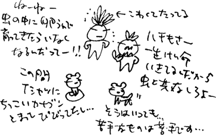 かずりんの部屋