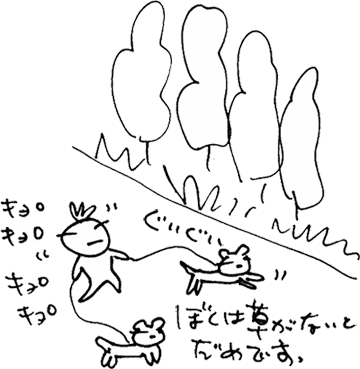 かずりんの部屋