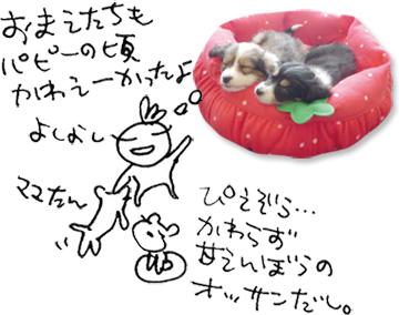 かずりんの部屋