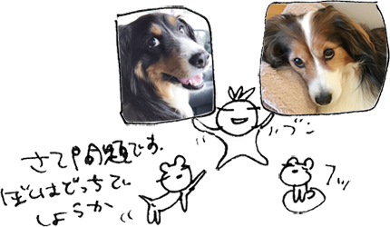 かずりんの部屋