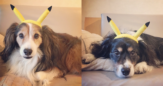 かずりんの部屋