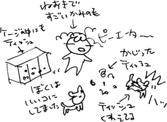 かずりんの部屋