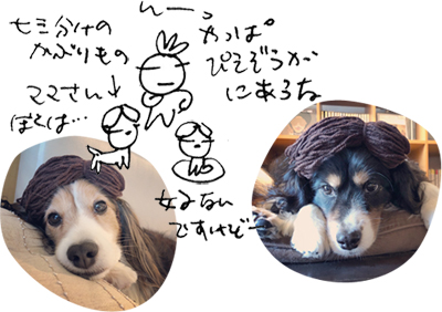 かずりんの部屋