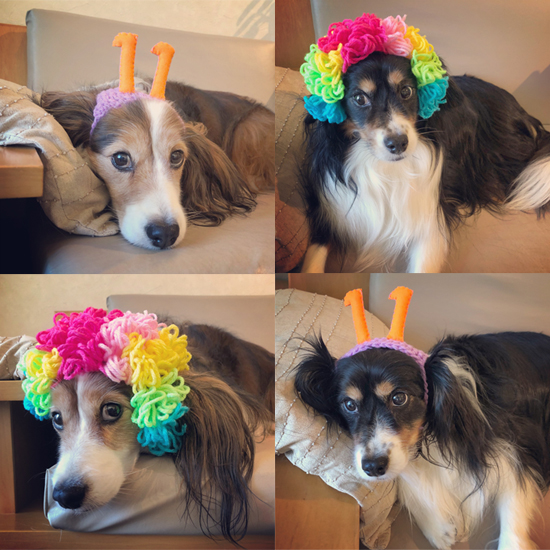 かずりんの部屋