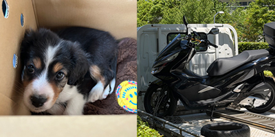 かずりん